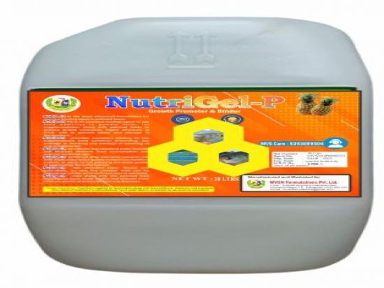 Nutri Gel 20 Kg